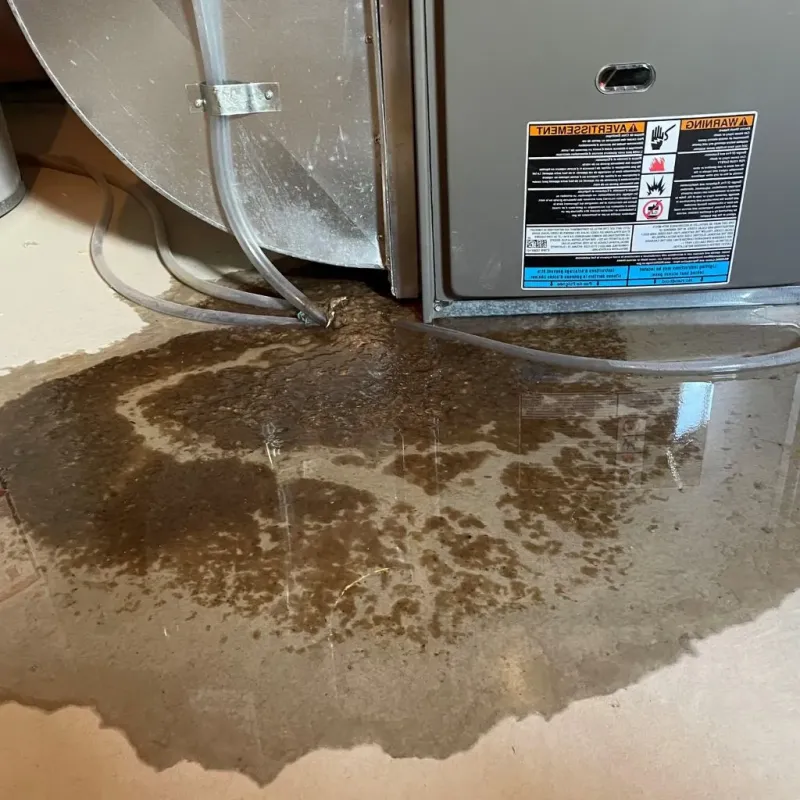 Pipe Burst and Leak Restoration in Sublette County, WY